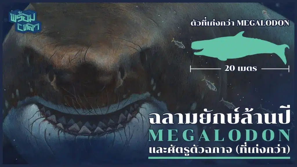 Megalodon ฉลามยักษ์