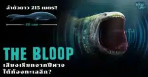 THE BLOOP