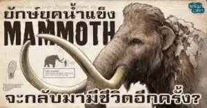 Mammoth