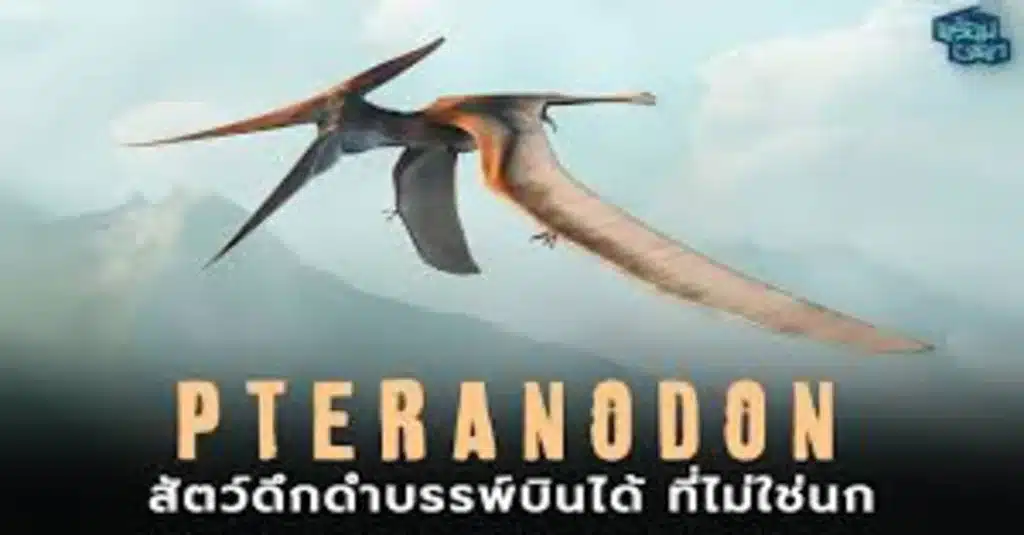 PTERANODON