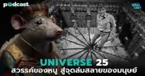 UNIVERSE 25